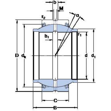 ตลับลูกปืน GEZM 100 ESX-2LS SKF