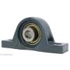 UCLP205-16 Bearing Pillow Block Medium Duty 1&#034; Ball Bearings Rolling #3 small image