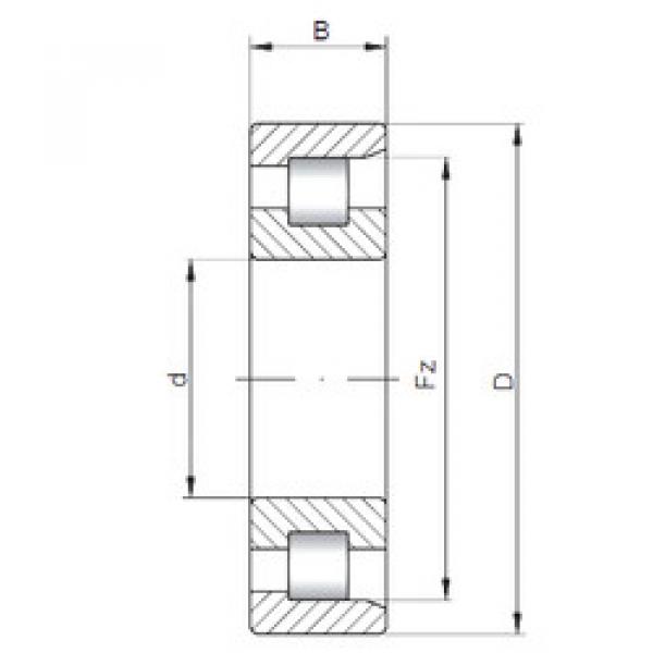 ตลับลูกปืน NF203 ISO #1 image