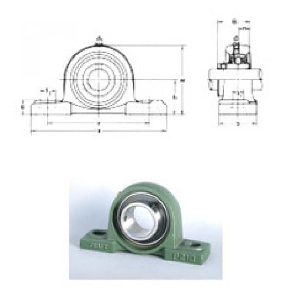 ตลับลูกปืน UCP213 CRAFT #1 image